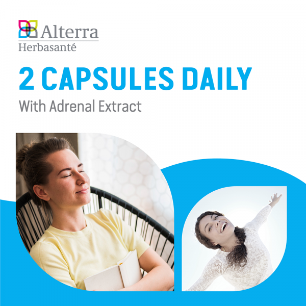 Adrenergy - Directions: 2 capsules daily with Adrenal Extract