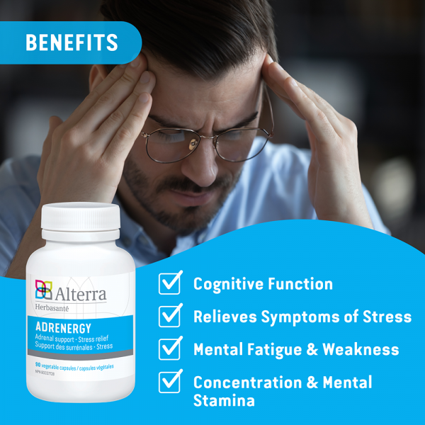 Adrenergy-Benefits:Cognitive function. Relieves symptoms of stress. Mental fatigue & weakness. Concentration & Mental Stamina