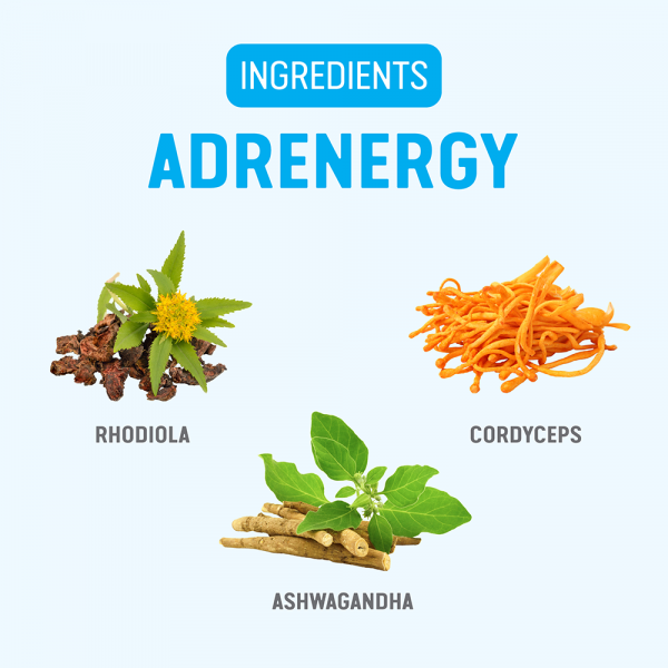 Adrenergy - Ingredients:Phodiola, Cordyceps, Ashwagandha